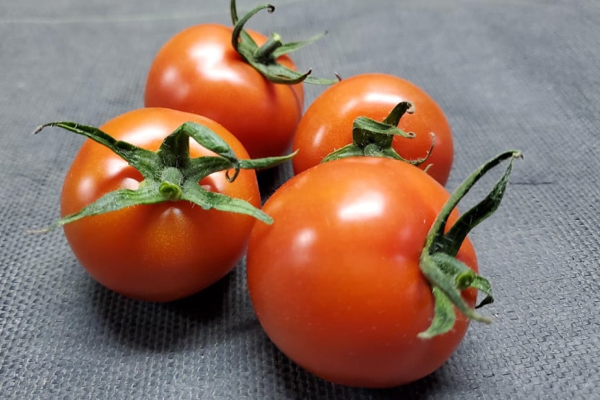 『こいとまと』名前の通りとにかく味の濃さにこだわった糖度9度以上のトマト