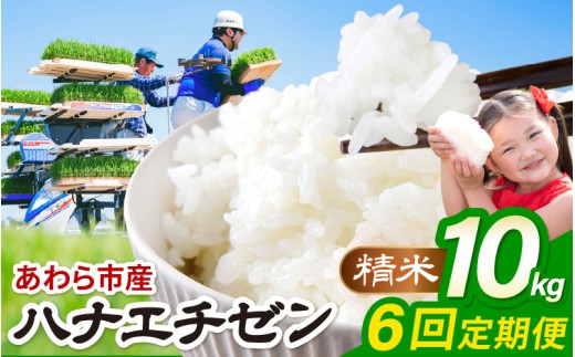 【先行予約】【令和8年産】定期便 ≪6ヶ月連続お届け≫ハナエチゼン 精米 10kg（計60kg）（農事組合法人イーノなかのはま100） / 北陸 福井県産 あわら市 ブランド米 白米 お米 コメ ※2026年10月より順次発送予定  [aw139-i001]