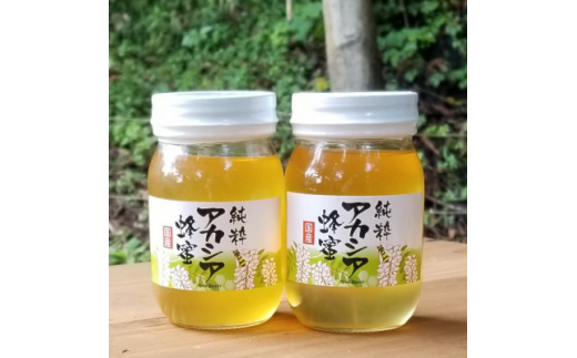 
＜青森県十和田市産＞アカシア蜂蜜550g　2本セット【1351650】
