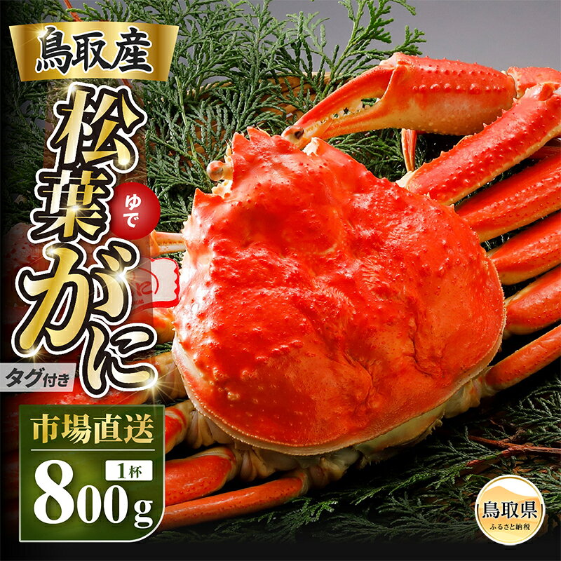 【ふるさと納税】【2026年11月発送】特撰　松葉がに（茹）【ブランドタグ付き】800g超の大きいサイズ　食べ応えあり　特大1杯【期間限定】_T2600469
