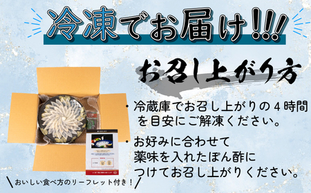 ふぐ 刺身 3人前×3セット 合計180g ふぐ刺し 冷凍 （ ふぐ フグ とらふぐ 下関ふぐ 下関フグ ふぐ刺し フグ刺し ふぐ刺身 てっさ 国産とらふぐ 関門ふぐ 関門フグ 最高級とらふぐ 最高級