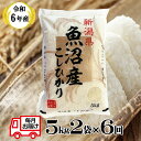 【ふるさと納税】〔定期便・隔月お届け〕5kg×2袋×6回 60kg 令和6年産 魚沼産コシヒカリ 白米 お米 ブランド米 こしひかり 産地直送 お取り寄せ おいしい 魚沼 新潟県 小千谷市（小千谷米穀） 131P397BE