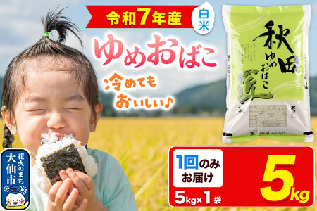 新米 米【白米】秋田県産 ゆめおばこ 精米 5kg（5kg×1袋）令和7年産 大仙市