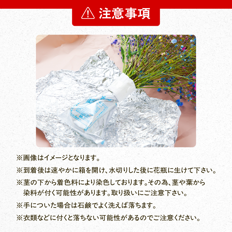 【佳花園】レインボーかすみそう 花束