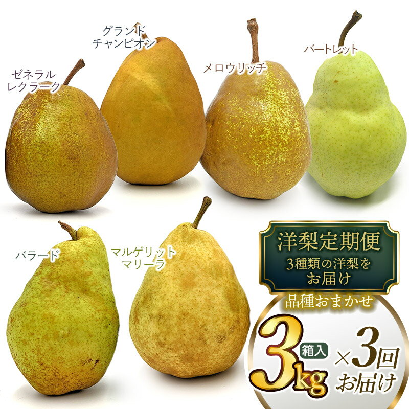【ふるさと納税】【令和7年産 先行予約】山形県鶴岡市産 洋梨定期便【3回お届け】3kg×3種類 品種おまかせ