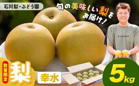 【先行予約・数量限定】幸水 梨 5kg 石川梨・ぶどう園 果物 フルーツ 贈り物 お取り寄せ フルーツ 【配送不可地域あり】（離島）