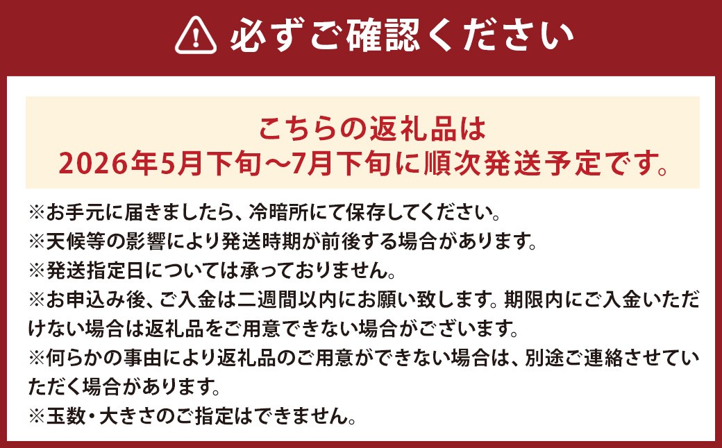 小玉すいか 秀品 2玉 約2～3kg