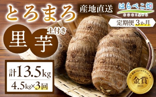 【定期便3ヶ月】里芋『とろまろ』土付き 4.5kg・H139-660