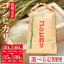 【ふるさと納税】【選べる】【先行予約】【定期便】コシヒカリ5kg~10kg×3回~6回　鹿嶋市産【米お米精米白米こしひかり 茨城県 鹿嶋市】（KDS-4）