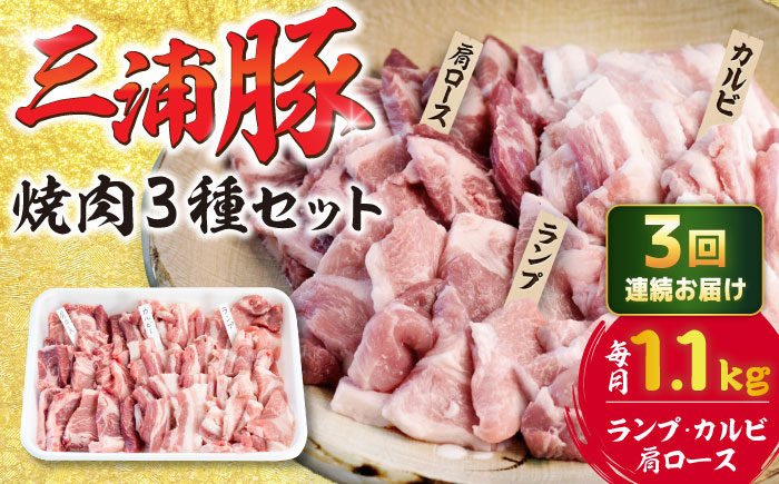 【3回定期便】 豪華 三浦豚 1.1kg 焼肉セット 肩ロース カルビ ランプ / ブランド豚 国産 ポーク 大容量 恵那市 / あづま精肉店 [AUDL018]
