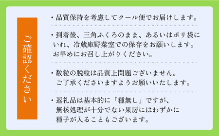 【2024年8〜10月発送】【ご家庭用】シャインマスカット 1.2kg前後（2房） 長与町/果豊園[ECL005] / シャインマスカット マスカット フルーツ 果物 シャインマスカット マスカット 