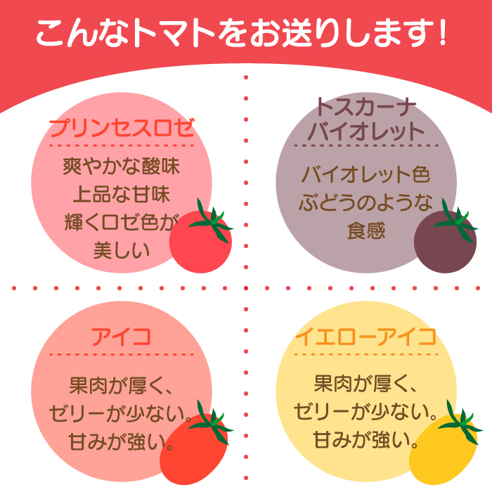 【2025年1月中旬～発送】カラフル ミニトマト 彩８（いろは） 約8種類 合計約1.8kg / トマト 夏野菜 野菜 旬 食べ比べ  / 南島原市 / 植木農園 [SBL001]_イメージ4