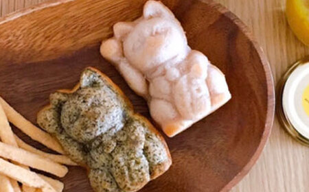 【ぎふのお菓子：招き猫マドレーヌ８種セット】岐阜県産小麦使用 IBUKI ご利益 洋菓子 こだわり 岐阜市/社会福祉法人いぶき福祉会 いぶき[ANCL003]