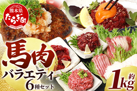 【年末発送】馬肉 バラエティー 6種 セット 約1.02kg ＜ 赤身切り落とし / コウネ / ネギトロ / ユッケ / フタエゴ / ハンバーグ / タレ付き ＞ 熊本馬刺し 新鮮馬刺し 馬刺し食べ比べ 馬刺しセット 絶品馬刺し 新鮮馬刺し 絶品馬刺し 熊本 国産 年内発送 年内配送 年末年始 031-0491-R712