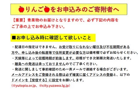 希少価値高い ぐんま名月 5kg りんご 林檎 果物 フルーツ【田村果樹園】[B6-10804]