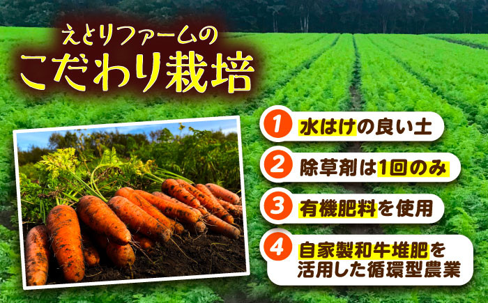 北海道産 甘い 人参 野菜 根菜 ニンジン 糖度高め サラダ ジュース 生鮮野