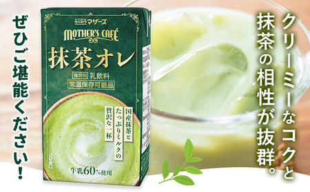 【12ヶ月定期便】250ml×24本／月×12回（計288本） 抹茶・オ・レ 合同会社たべたせいか《お申し込みの翌月から出荷》 抹茶オーレ 抹茶オレ 抹茶ミルク 抹茶 抹茶 乳製品 乳飲料 クロレラ 