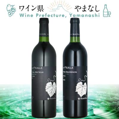 ふるさと納税 山梨県 山梨県作出ブドウ 甲斐ノワール&amp;ヤマ・ソービニオン 2本セット