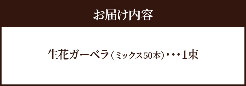 【ラッピング付】生花ガーベラミックスの花束 50本 日付指定可能 ギフト プレゼント ラッピング 産地直送 インテリア お花 フラワー ボリューム満点 H193-001