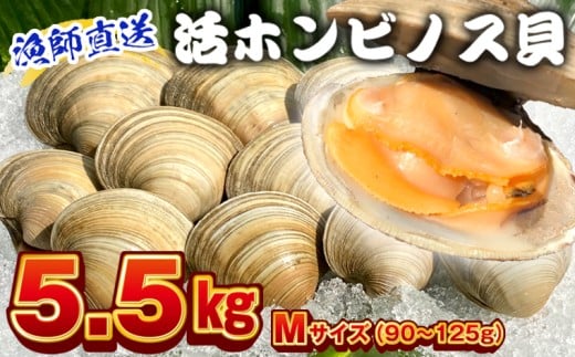 漁師直送！活ホンビノス貝5.5kg（Mサイズ）　ホンビノス 貝 白はまぐり 大あさり 浜焼き BBQ バーベキュー アウトドア キャンプ 漁師直送 産地直送 魚介類 海鮮 貝 シーフード クラムチャウダー スープ パスタ 天ぷら 酒蒸し 千葉県