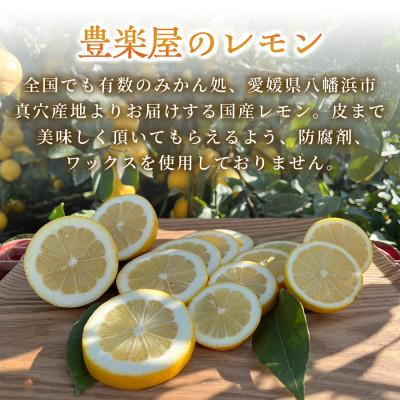 ふるさと納税 八幡浜市 【毎月定期便】【2ヶ月】真穴産地直送の国産瀬戸内レモン 5kg 2L大玉 1箱【98-25】全2回 |  | 01