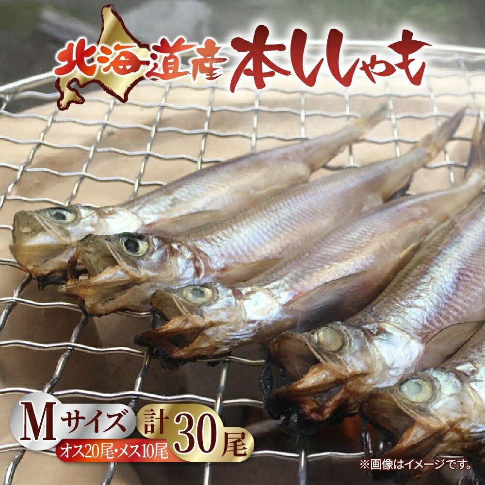 【ふるさと納税】北海道産 阿部水産 ししゃも M 30尾セット 本ししゃも 雄 雌 オス メス 魚卵 卵 たまご タマゴ子持ち 北海道土産 季節限定 ほくほく 子魚 無添加 クール便 冷凍 送料無料 北海道 日高町　北海道産・ししゃも・魚介類・魚貝類・干物