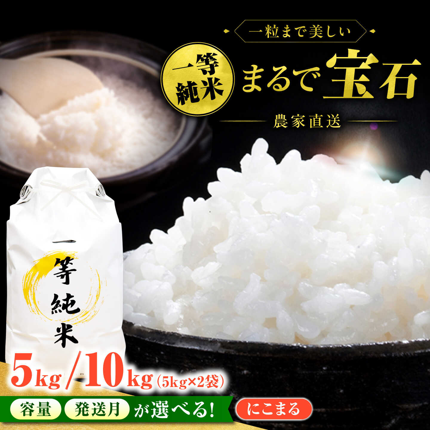 【ふるさと納税】【選べる発送月・容量】令和7年産 米 5kg or 10kg 白米 一等米 精米 国産米 愛知県産 にこまる｜選べる発送月｜おにぎり お弁当におすすめ｜稲沢市 有限会社ハシモト耕販[BMBP001]