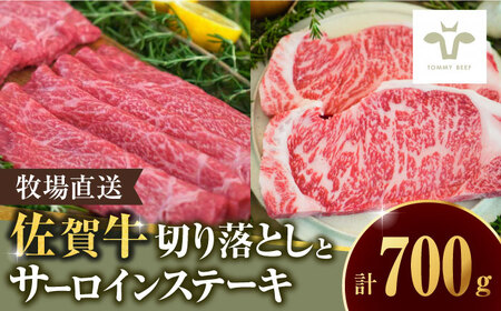【牧場直送】至福の切り落とし500gとサーロインステーキ200g / 牛肉 / 佐賀県 / 有限会社佐賀セントラル牧場 [41ASAA099]