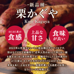 【12月下旬より順次発送】さつまいも くりかぐや5kg【甘藷 甘い さつま芋 サツマイモ 薩摩芋 茨城県産 茨城県 阿見町】(90-01)