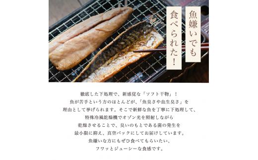 【定期便】海の贈り物 ソフト干物 盛り合わせ  TV出演 人気年4回 固定月発送  3種類 〜 5種類 発送月固定 季節の干物 セット 干物 海の幸 海産物 舞鶴魚 舞鶴干物 冷凍 新感覚 季節の干物