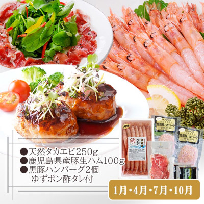 【定期便3回配送】鹿児島県産黒豚・天然タカエビ(薩摩甘エビ)・鰹たたき　OO−0002【配送不可地域：離島】【1535940】