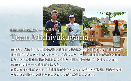 【 地酒 】純米吟醸 720ml 1本 チーム道行竈 地酒