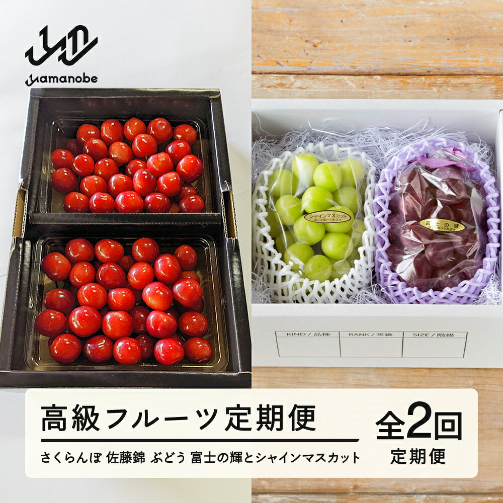 【ふるさと納税】フルーツ定期便 さくらんぼ 佐藤錦 ぶどう 富士の輝 シャインマスカット 計2回 令和7年産 2025年産 山形県山辺町産 ブラックシャインマスカット フルーツ 果物 bg-ftsfs2