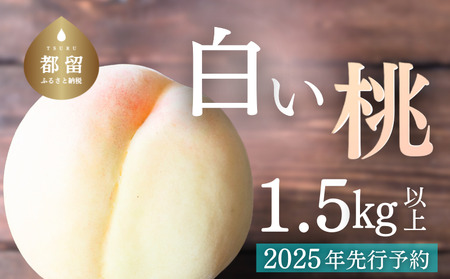 山梨県都留市産【2025年先行予約】日本一の産地 山梨県産　朝採れ白い桃 1.5kg以上 (５～７玉）　もも　桃　モモ　フルーツ　