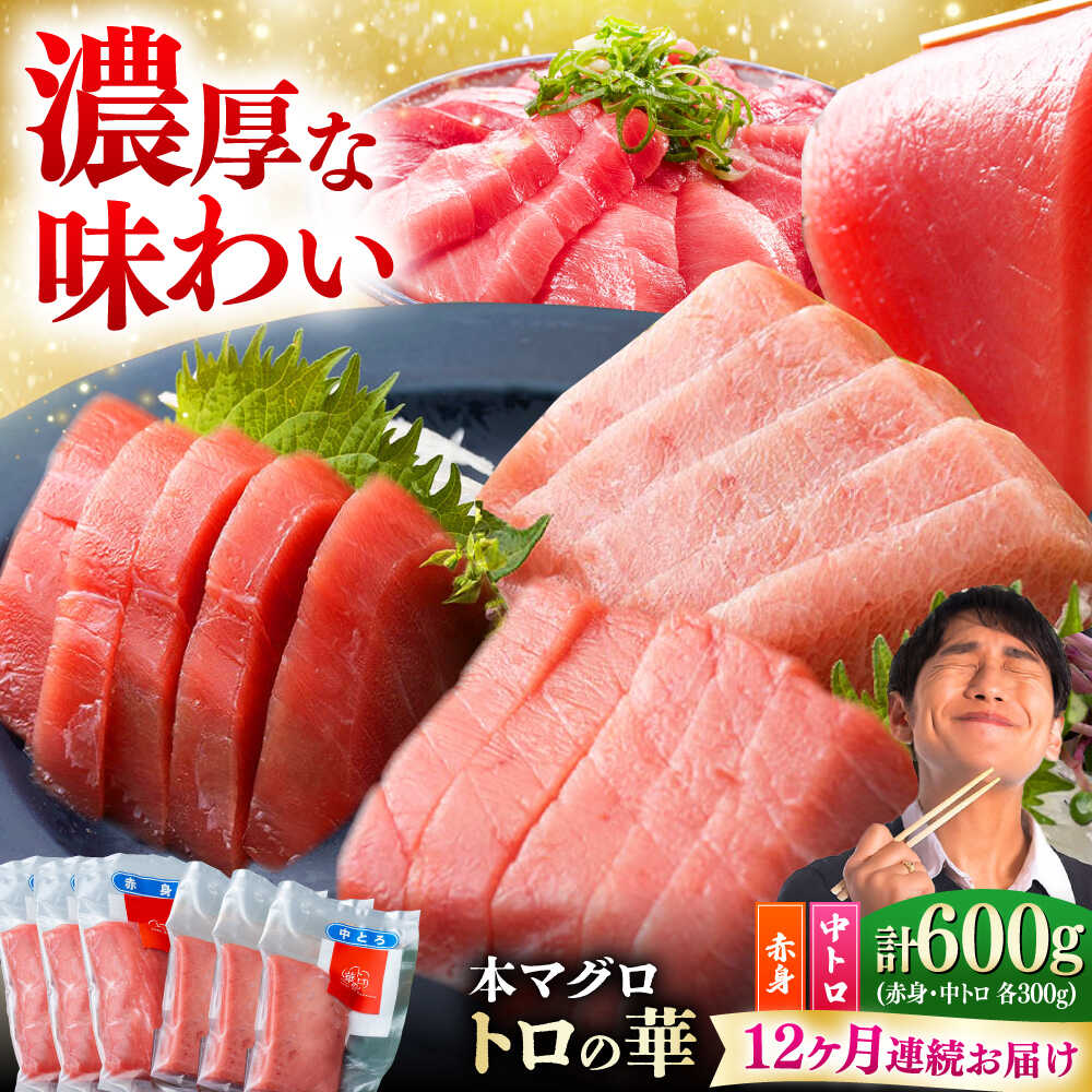 【ふるさと納税】【全12回定期便】対馬産 本マグロ 600g（赤身300g、中トロ300g） ≪対馬市≫【桐谷商店】 トロの華 対馬 新鮮 マグロ 赤身 トロ 鮪 刺身[WAQ070]