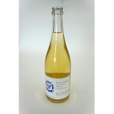 ふるさと納税 宮城県 【南三陸ワイナリー】デラウェア・スパークリング　白(辛口)　750ml×1本