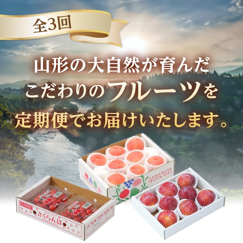 【発送月固定】山形旬彩！こだわりフルーツ定期便全３回Ａ