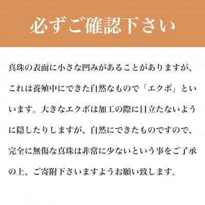 ふるさと納税 嘉麻市 WG(18K)黒蝶真珠Yチェーン(飾り付き)(45cm) |  | 02
