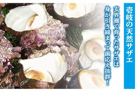 【全6回 定期便 】秘伝のタレ サザエのつぼ焼き（ 6個入り×2パック ）おつまみ 酒の肴《 壱岐市 》【天下御免】[JDB102] 48000 48000円  コダワリサザエ・さざえ こだわりサザエ