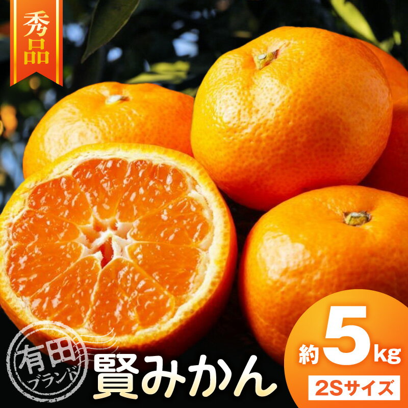 【ふるさと納税】【2026年先行予約】 秀品 有田ブランド 賢みかん 約5kg 2Sサイズ 有田みかん 温州みかん 濃厚 コク 和歌山県産 みかん 柑橘 果物 果実 フルーツ おやつ デザート お取り寄せ お取り寄せフルーツ 和歌山県 湯浅町 送料無料