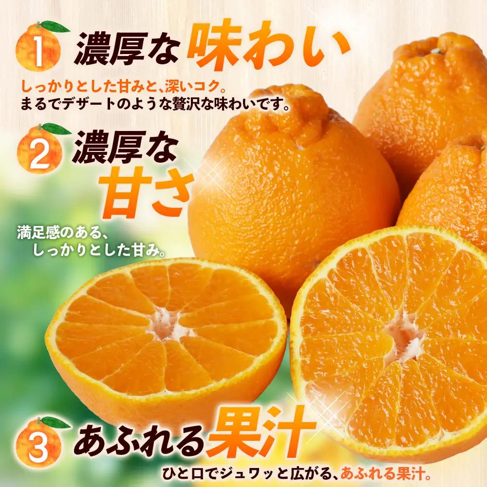 不知火 笹本農園の不知火 約5kg サイズ混合 みかん【ssmt0001】