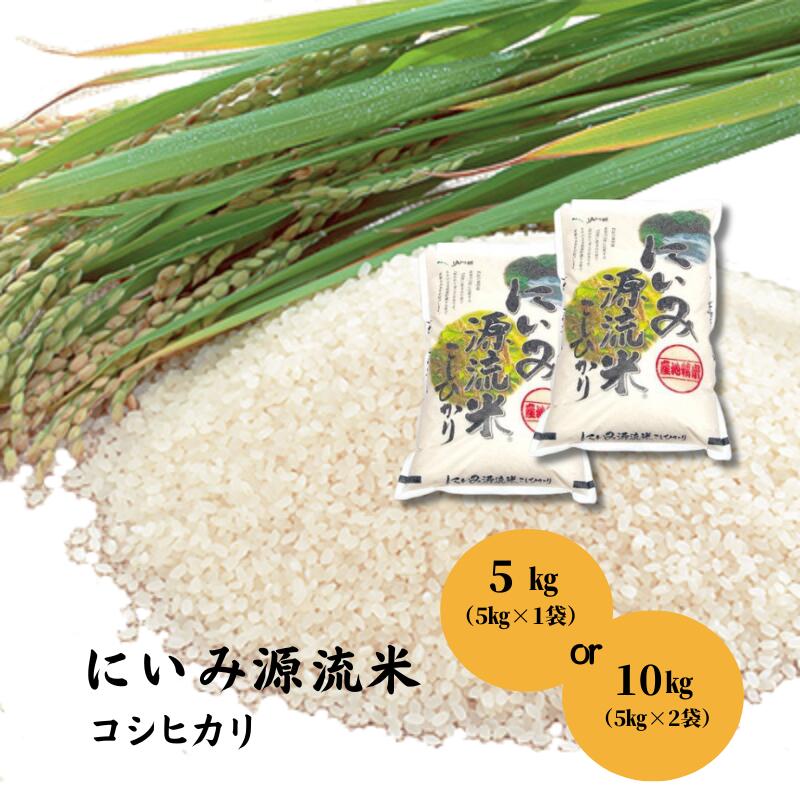 【ふるさと納税】 令和7年産 コシヒカリ こしひかり 容量を選択できる 米 10kg 5kg 1袋 2袋 にいみ源流米 米 精米 白米 小分け お弁当 おにぎり 美味しい おいしい 10キロ 5キロ おすすめ 人気