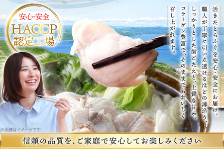 ふぐ 刺身 ふぐ鍋セット 活〆 おうごんとらふぐ プレミアム セット 4人前