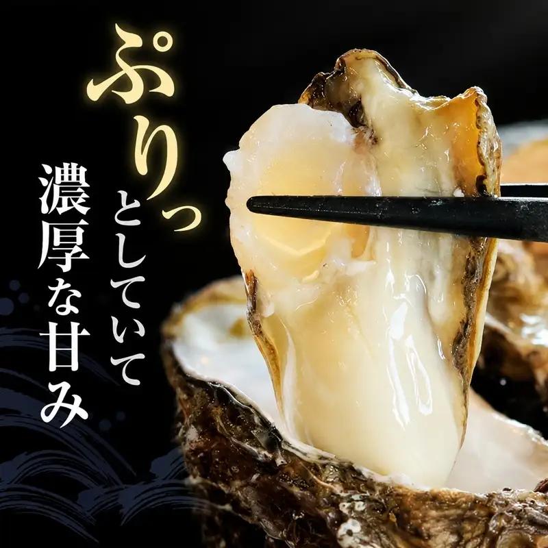 厚岸産『 カキえもん 』『 マルえもん 』 食べ比べ セット 北海道 牡蠣 カキ かき 生食用 生牡蠣 殻付 食べ比べ 魚介類 