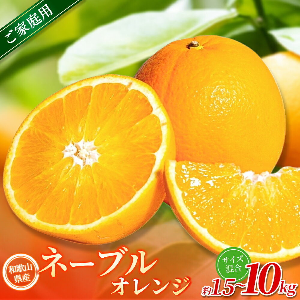 【ふるさと納税】 家庭用 ネーブル オレンジ / 手選別 みかん 甘い 和歌山 【選べる容量】 1.5kg・4.5kg・6kg・8kg・10kg サイズ混合 ※2026年1月上旬～2月中旬頃に順次発送