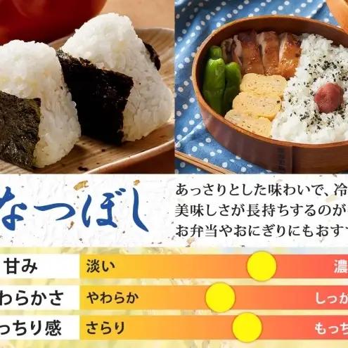 米 お米 ななつぼし 15kg 令和8年産 月形町 お米 米 ななつぼし