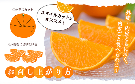 せとか 柑橘 フルーツ ハウスせとか 香川県産 せとか【約5kg】