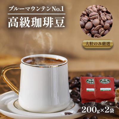 ふるさと納税 豊前市 ブルーマウンテンNo1(豆)200g×2