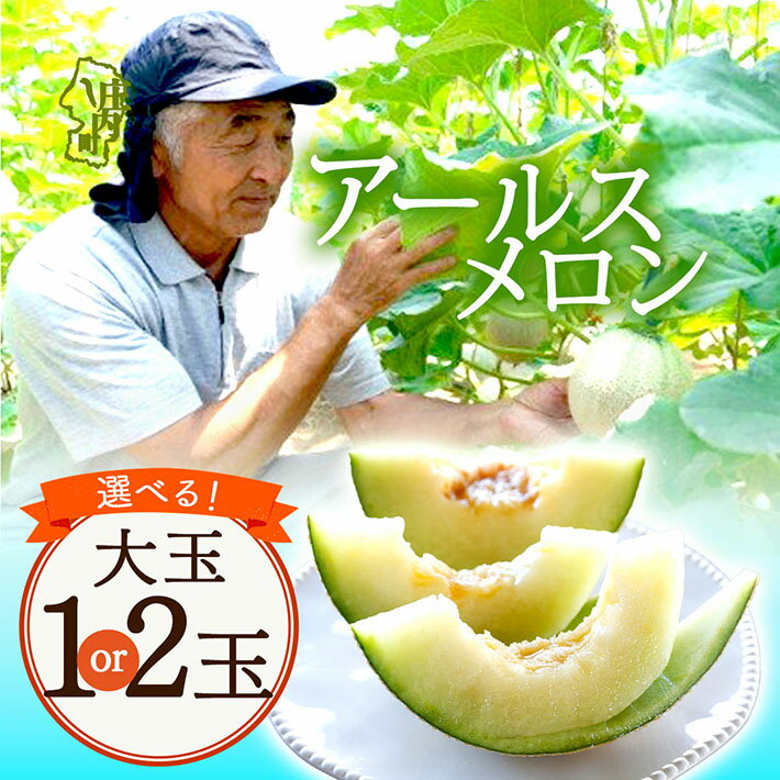 【ふるさと納税】【8月より順次発送】アールスメロン 選べる 大玉 1玉 or 2玉（入金期限：2026.7.20）ふるさと納税 山形