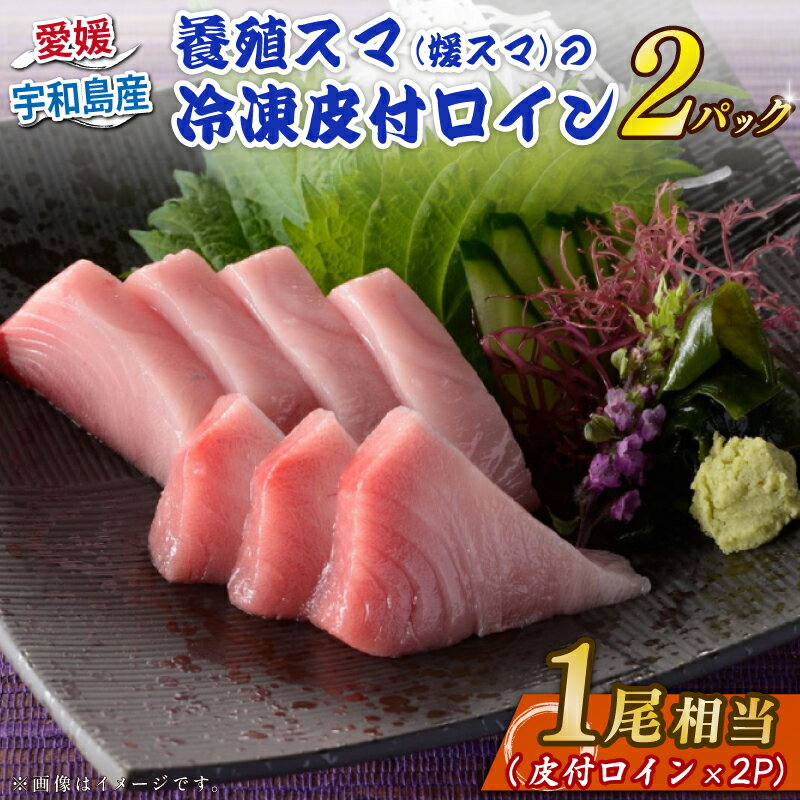 【ふるさと納税】 スマ 幻 の 高級魚 養殖スマ（媛スマ）皮付ロイン 2パック こもこもShop ロイン 養殖 刺身 お刺身 お刺し身 刺し身 人気 塩焼き 煮付け アレンジ 新鮮 冷凍 国産 愛媛 宇和島 D034-186011